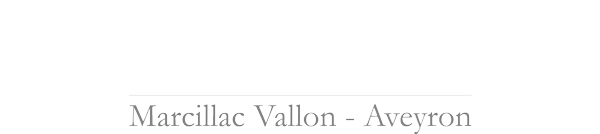 Logo-Blanc